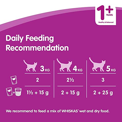 Whiskas wet pouches, delicious and tasty poultry selection in jelly, suitable for adult cats aged 1+, megapack (84 x 100 g) - FoxMart™️ - whiskas